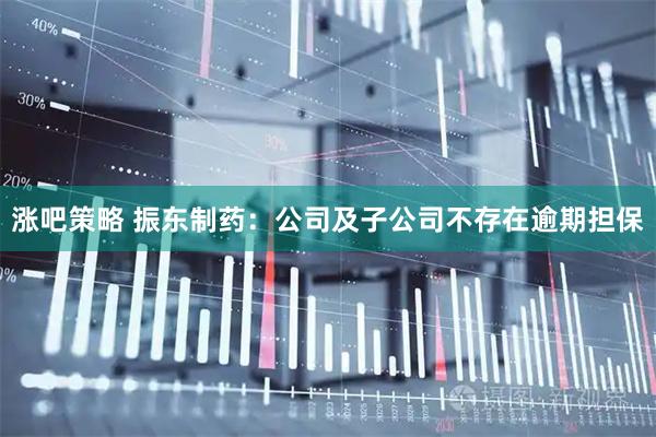 涨吧策略 振东制药：公司及子公司不存在逾期担保
