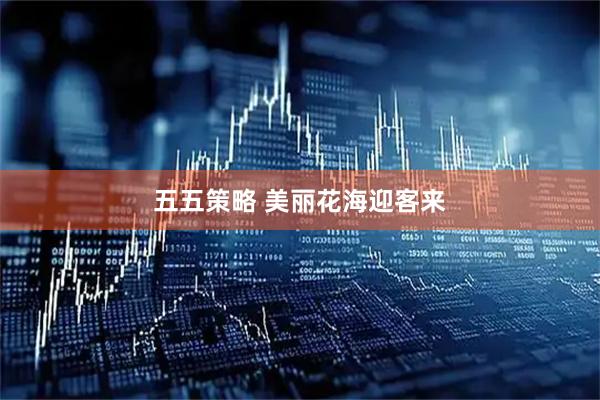 五五策略 美丽花海迎客来