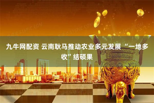 九牛网配资 云南耿马推动农业多元发展 “一地多收”结硕果