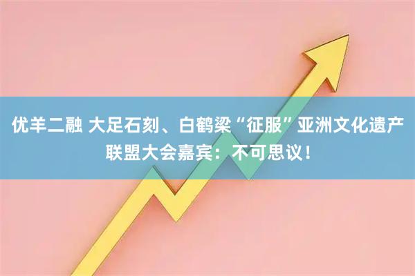 优羊二融 大足石刻、白鹤梁“征服”亚洲文化遗产联盟大会嘉宾：不可思议！